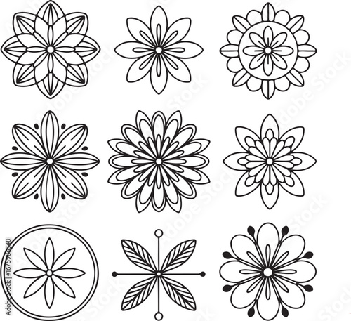 A set of beautiful vector flowers in a seamless floral pattern for your summer design illustration