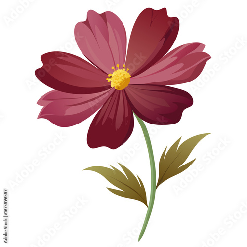 pink flower isolated on white