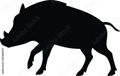 Powerful silhouette of a wild boar with prominent tusks ready for action