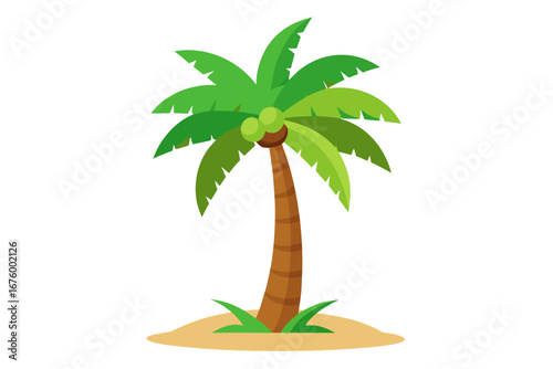 palm tree vector illustration