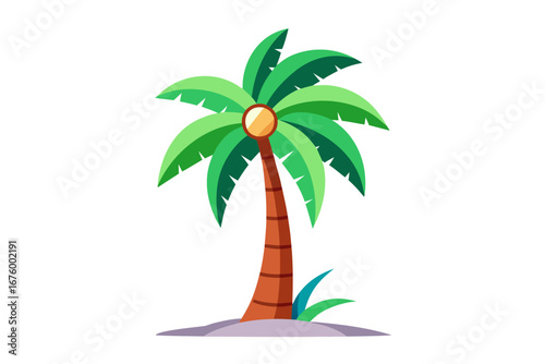 tropical palm tree