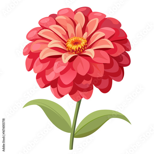 Pink Red Dahlia Flower with Green Stem and Leaves Botanical Illustration