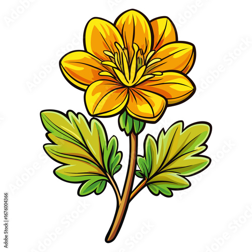 yellow flower isolated on white background