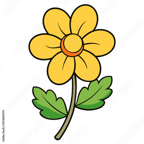 yellow flower isolated on white