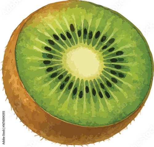 Hand draw watercolor kiwi fruit