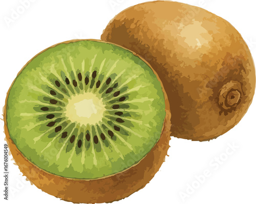 Hand draw watercolor kiwi fruit