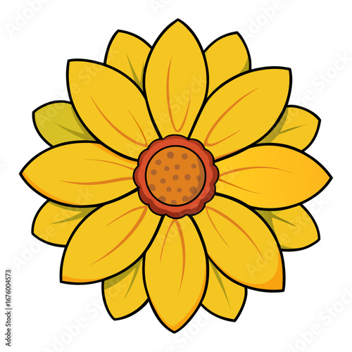 yellow sunflower isolated on white background
