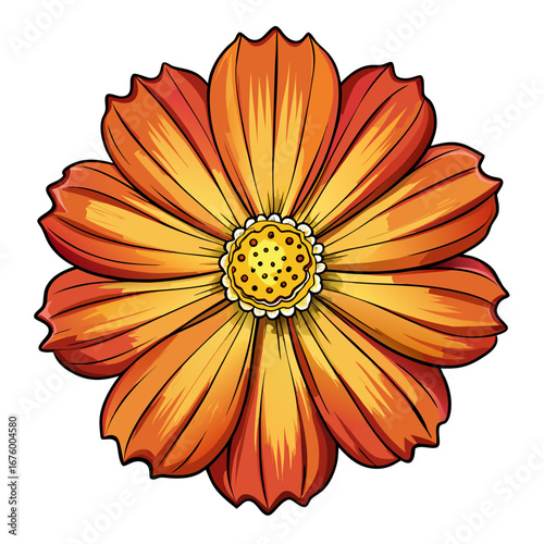 yellow flower isolated on white background