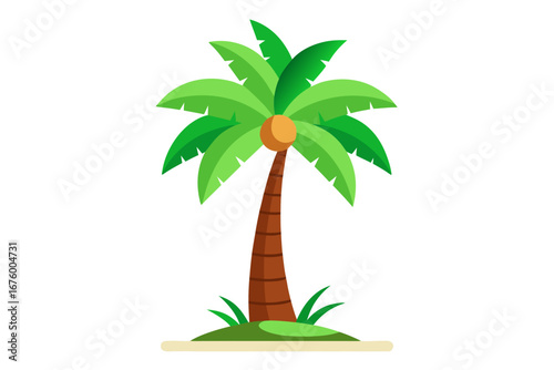 palm tree vector illustration