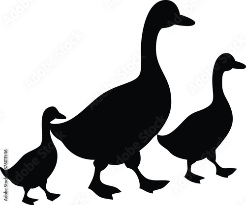Silhouette of a duck family walking together creating a charming natural scene