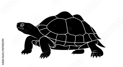Silhouette of a Walking Tortoise with Detailed Shell.