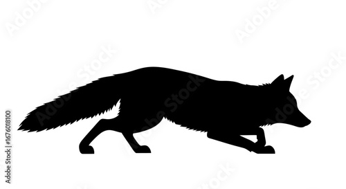 Silhouetted Fox in Hunting Posture, Black Profile.