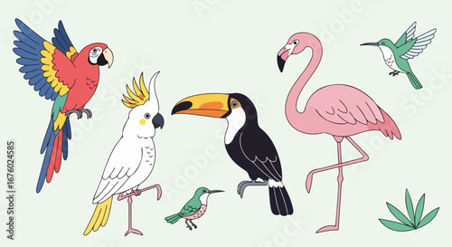 Vibrant Tropical Birds Collection Macaw, Cockatoo, Toucan, Flamingo, Hummingbird Illustrations