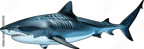 Cute cartoon a illustrator vector tiger shark