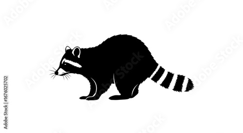 Black and White Raccoon Illustration with Striped Tail.