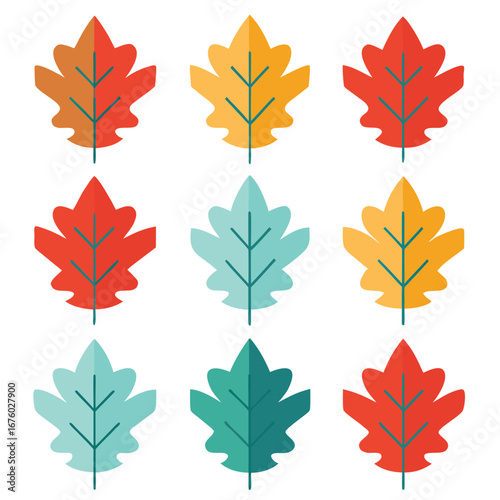 Nine Fall Colored Leaves Illustration Autumn Season Elements Colorful Design
