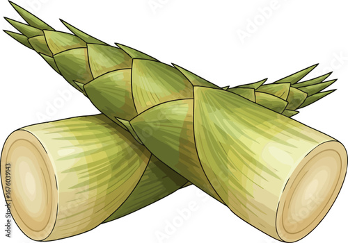 Fresh bamboo shoots healthy food ingredient organic natural produce vector