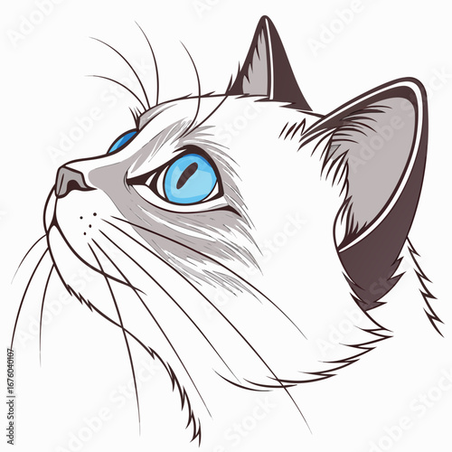 Close up illustration of a siamese cat s head with striking blue eyes looking upwards