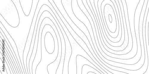 Minimal white luxury topographic map background with flowing wave curve lines, digital contour design, seamless geography grid vector artwork
