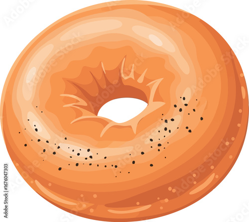 Golden baked bagel with poppy seeds fresh breakfast staple vector