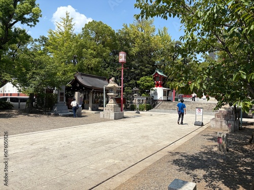 Podobny obraz