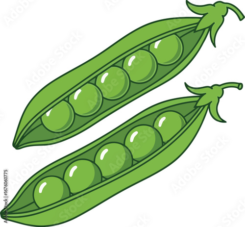 Fresh green peas pods healthy vegetable ingredient food close up vector