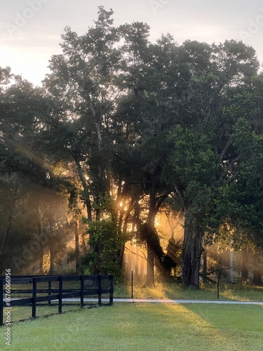 We relax in the countryside, we breathe peace and tranquility