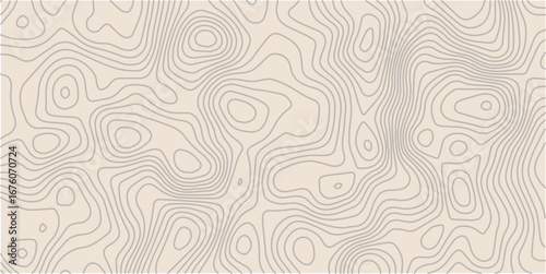 colorful wave paper curved reliefs abstract background, Abstract topographic contourscurved background, Topography map background. Vector geographic contour map. 