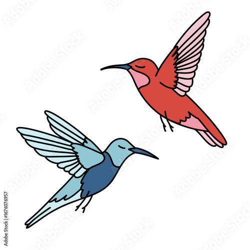 Illustration of a Couple of  Colorful Hummingbirds Flying on Transparent Background