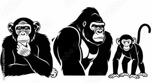 Black and white primates illustration