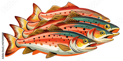 Vibrant shoal of spawning salmon swimming in a row, a fish vector image