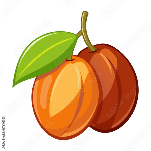 Illustration of two plums with a green leaf on a white background