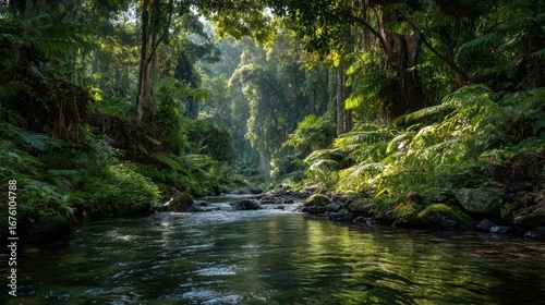 Serene Jungle River Surrounded by Lush Canopy and Greenery