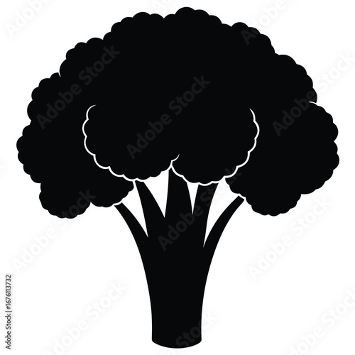 Black Silhouette of a Broccoli Head with Detailed Florets and Stem on White vegetable food