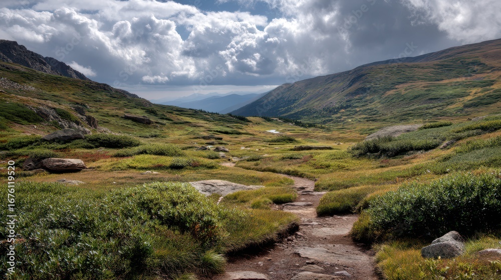 Fototapeta premium Scenic Alpine Trail Through Tundra Landscape Under Dramatic Sky