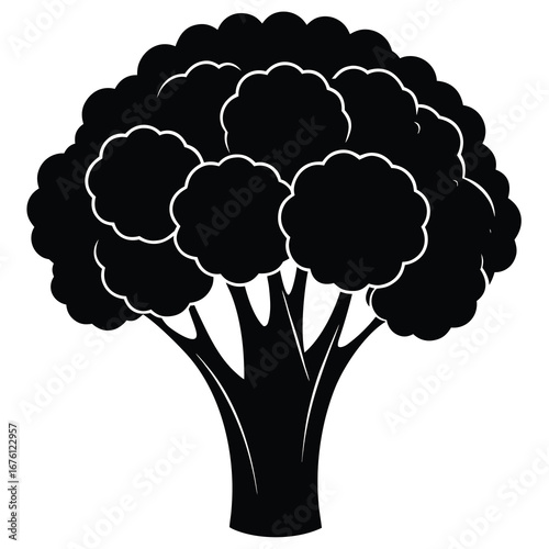 Detailed Black Silhouette of Broccoli with Multiple Florets and Stem on White vegetable food