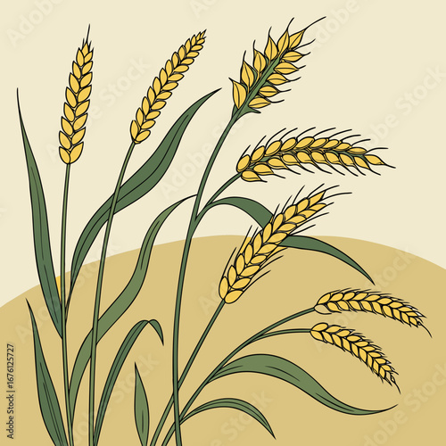 Vector illustration of wheat ears, a nature-inspired floral design with a silhouette of a plant and leaves