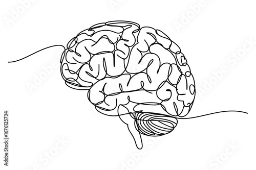 Continuous Line Drawing of a Brain | Vector Illustration for a Mind and a Thinking