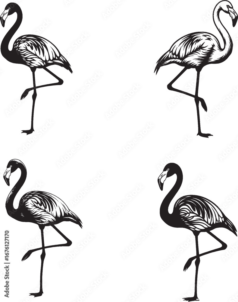 custom made wallpaper toronto digitalMinimalist black and white flamingo icon set – hand-drawn birds standing on one leg with graceful posture and stylized feather detail.