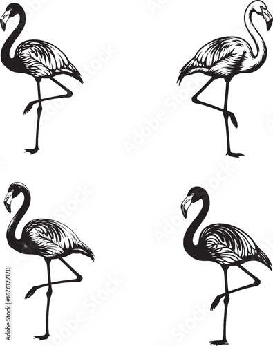 Wallpaper Mural Minimalist black and white flamingo icon set – hand-drawn birds standing on one leg with graceful posture and stylized feather detail. Torontodigital.ca