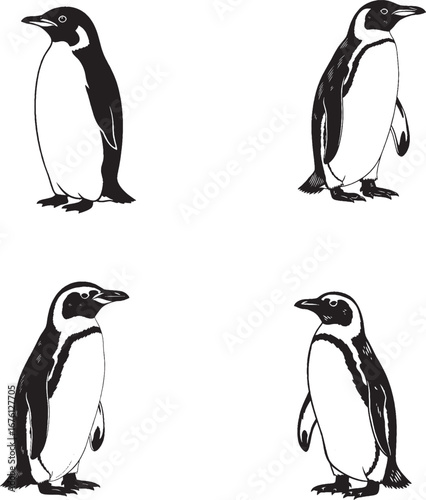 Wallpaper Mural Minimalist black and white penguin icon set – hand-drawn silhouettes in diverse poses for animal-themed, educational, or decorative design. Torontodigital.ca