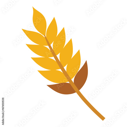 Single golden wheat stalk with brown leaves on a white background grain agriculture