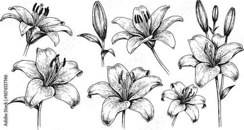 set of Tow truck, Car towing vector icon set isolated on white. Car evacuation sign. Transparent background PNG, cutout	
