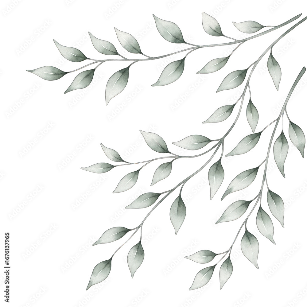 Fototapeta premium Elegant silver leaf branches decorative element for artistic designs and branding transparent background