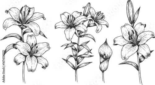 set of Tow truck, Car towing vector icon set isolated on white. Car evacuation sign. Transparent background PNG, cutout	
