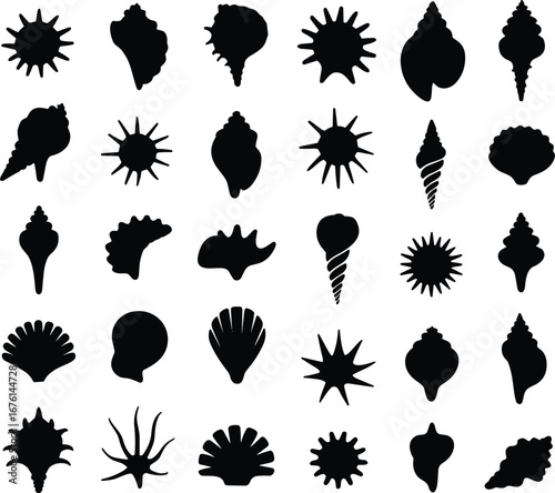 Collection of Black Shell Silhouettes in Various Shapes, Abstract Sea Life, Ocean and Marine Elements for Design Projects