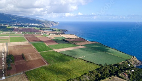 Aerial View of Fertile Agricultural Fields Near Beautiful Coastline