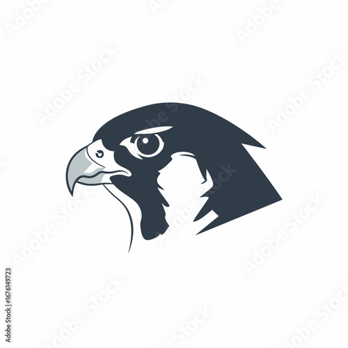 A stylized falcon head logo on a white background.