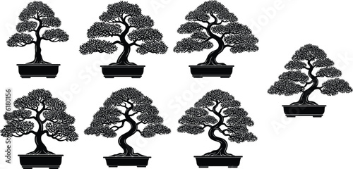 Bonsai, tree, silhouette, vector, illustration, black, pot, foliage, shape, nature, Japanese, minimal, design, elegant, isolated, growth, decorative, tranquil, pruning, artistic