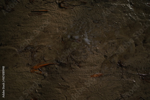 old rusty metal ,soil  texture ,sand texture image